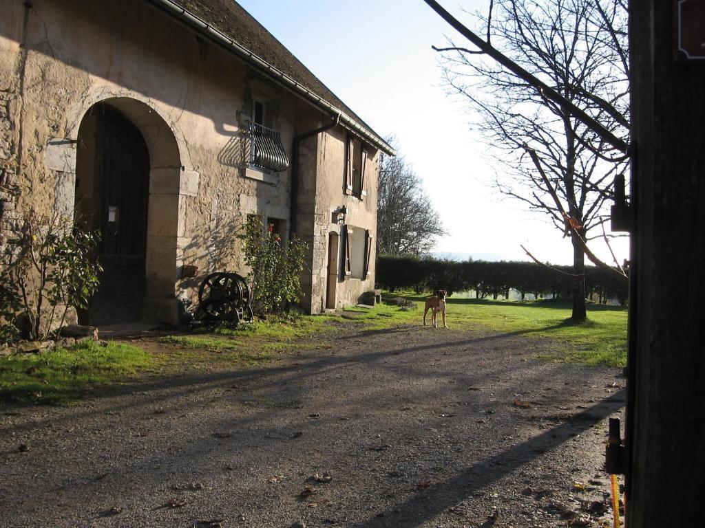 Chez Robert Et Catherine Dompierre-sur-Mont Værelse billede